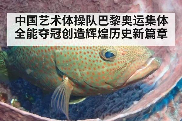 中国艺术体操队巴黎奥运集体全能夺冠创造辉煌历史新篇章