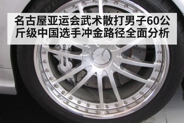 名古屋亚运会武术散打男子60公斤级中国选手冲金路径全面分析